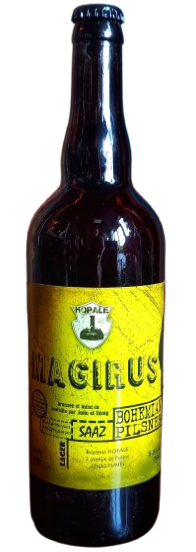 Tireuse à bière Fumel